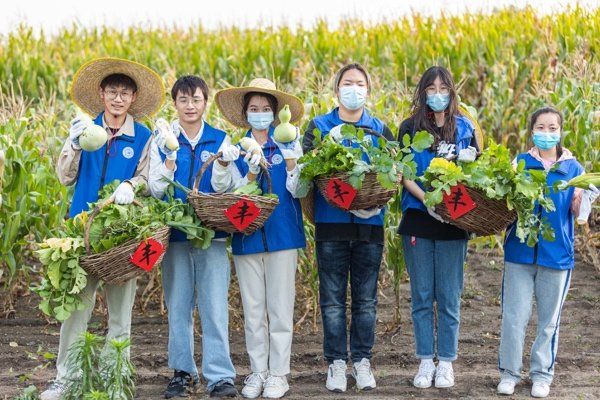 吉林大學(xué)師生開展田間秋收勞動。吉林大學(xué)黨委宣傳部供圖