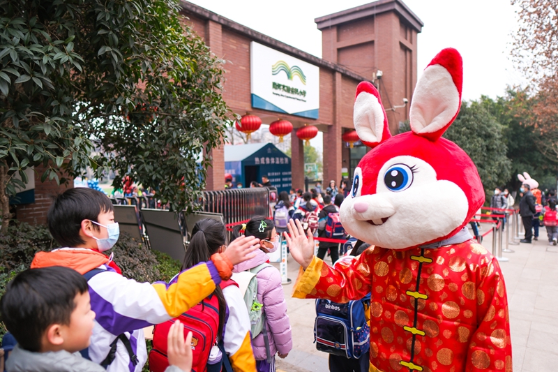 2月6日，重慶南岸區(qū)南坪實驗金科小學，學校在門口準備了孩子們喜歡的兔子玩偶，迎接開學。郭旭攝 