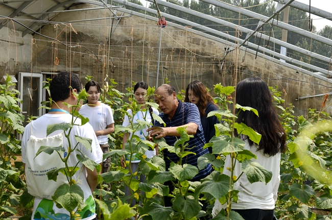 大學(xué)生走進北京平谷開展暑期鄉(xiāng)村實踐