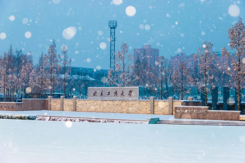 北京工商大學(xué)：校園裡雪花簌簌飄落。校方供圖