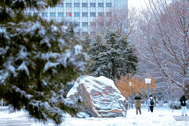 北京郵電大學(xué)：郵苑初雪。張憶晨攝