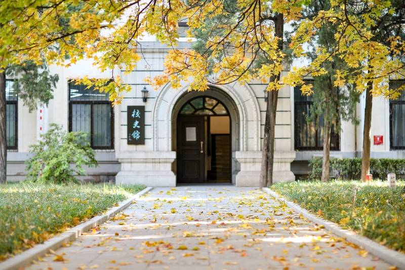 北京科技大學(xué)校史館前，金黃的銀杏裝點校園。王佔奎攝