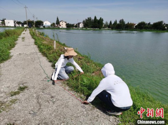 高校師生普查浙江24個縣市區(qū)發(fā)現(xiàn)165種外來入侵植物