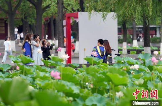 6月19日，時(shí)值一年畢業(yè)季，四川大學(xué)望江校區(qū)荷花池裡的荷花盛開，成為了畢業(yè)生們的打卡聖地，吸引了眾多畢業(yè)生拍照留念。圖為畢業(yè)生在荷花池邊拍照留念。中新社記者 安源 攝